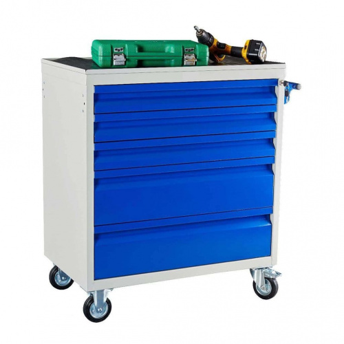 WDS-5